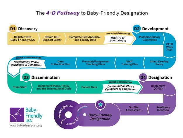 graphic that visual depicts the order of the four phases described above.